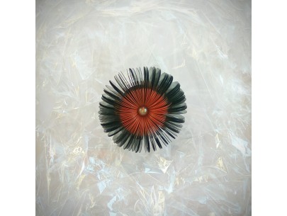 Urchin  Misineza
