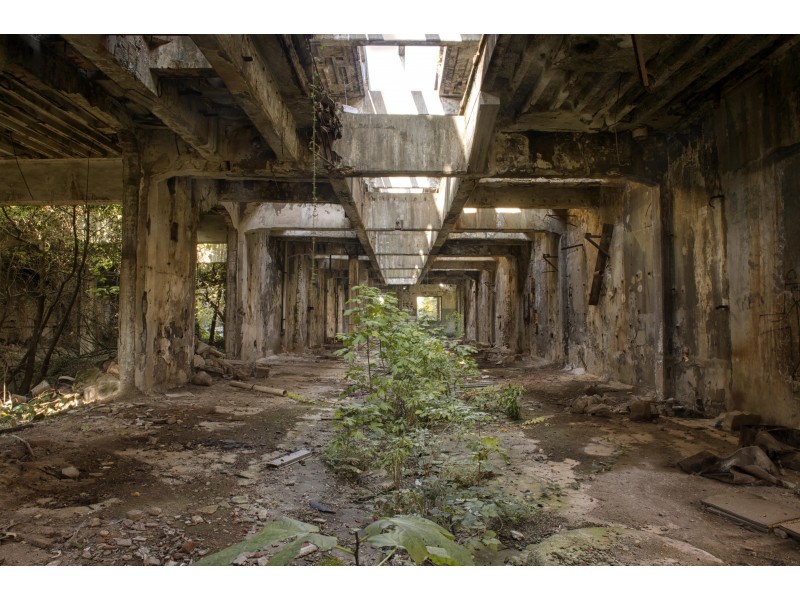 When nature is taking over a former industrial place