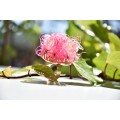 Ring "rose"